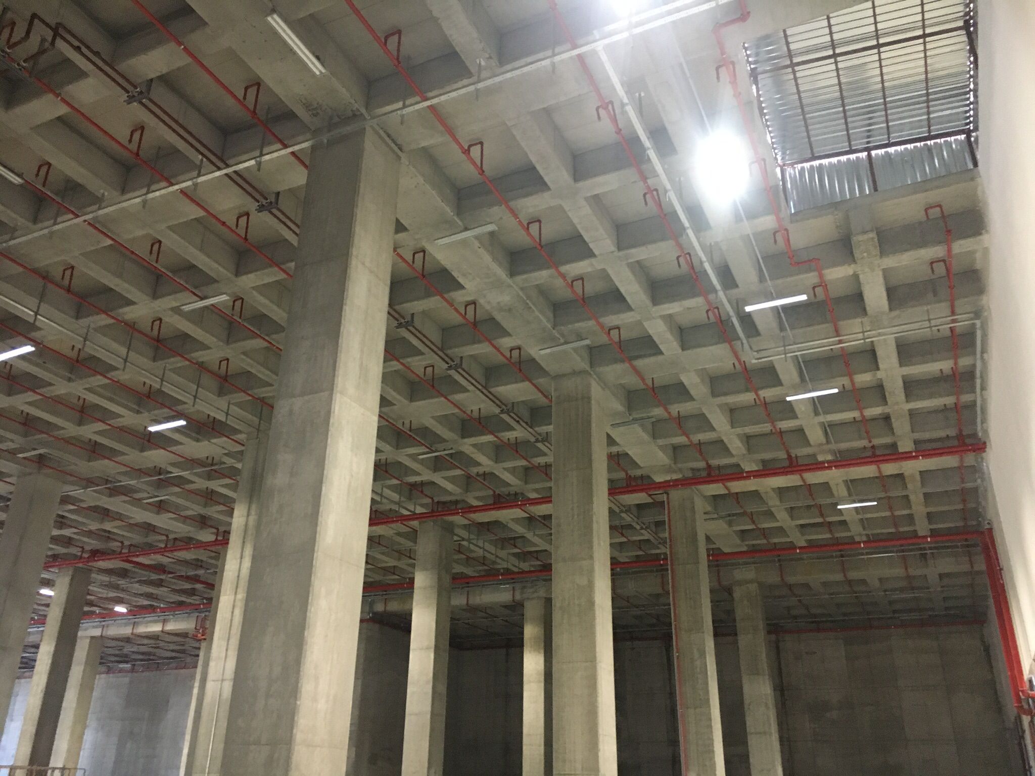 WhatsApp Image 2023-08-28 at 23.38.15